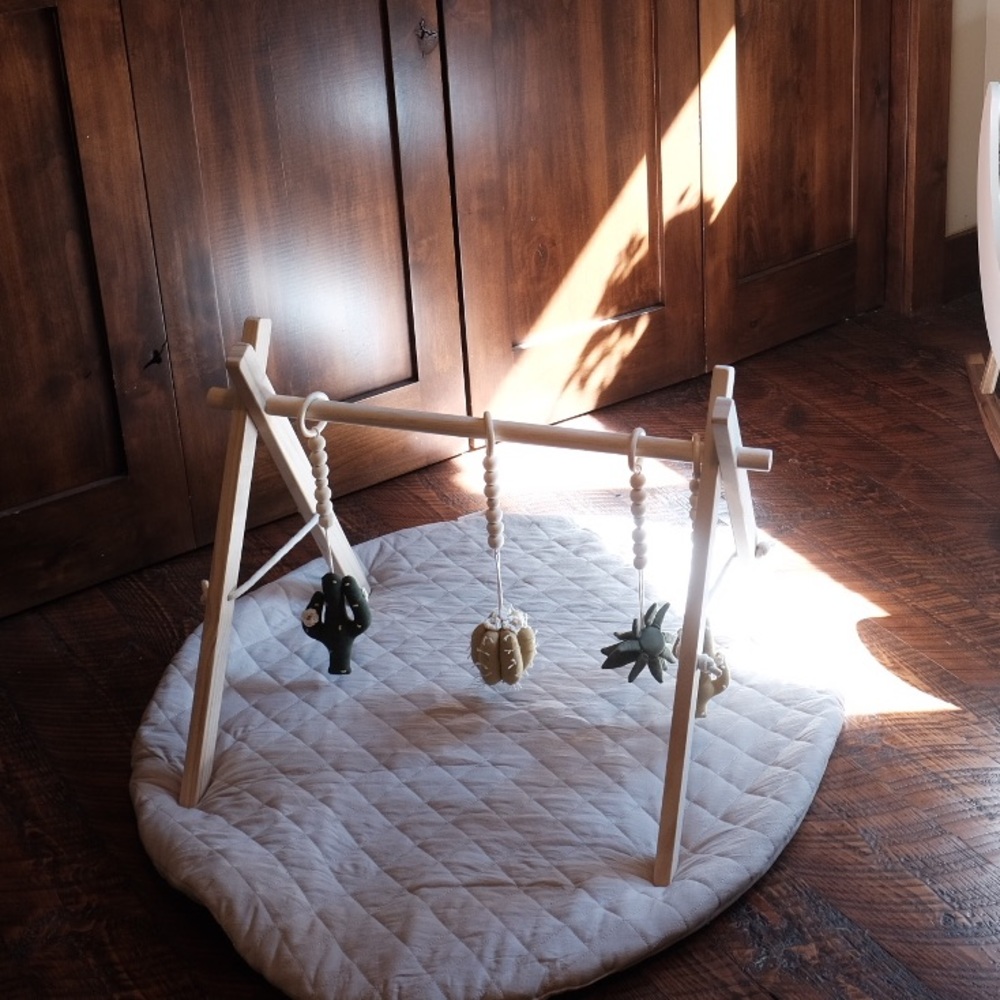 Wooden play gym set with cactus themed toys!